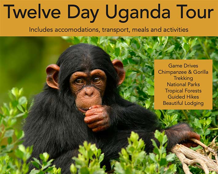 12 Day Uganda Tour